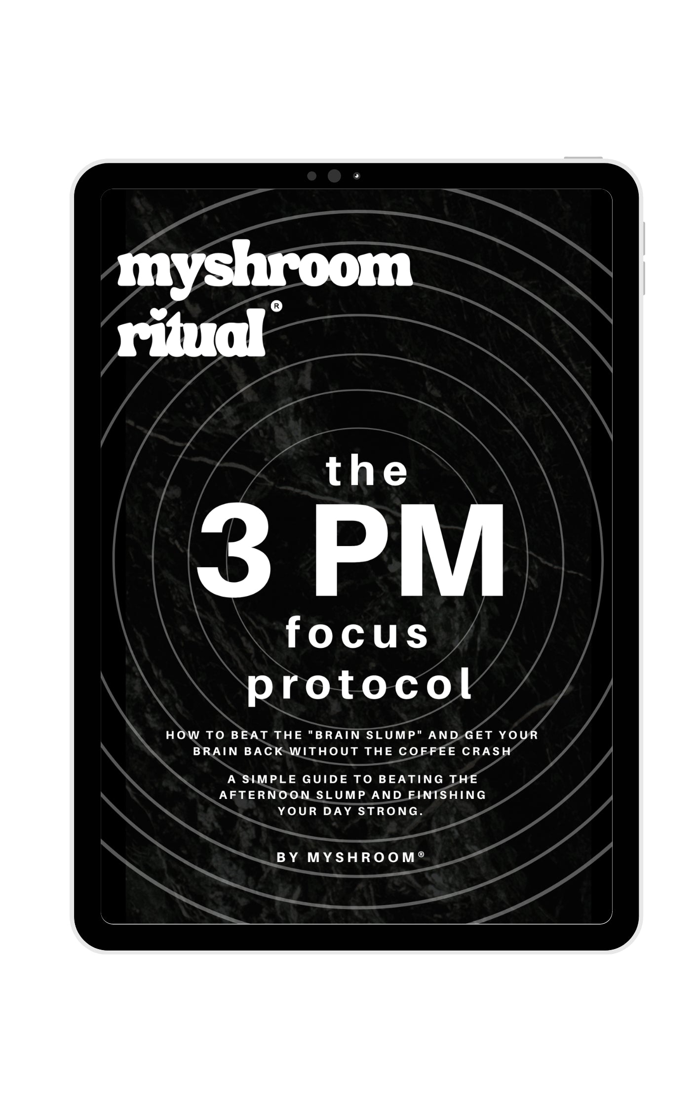 The "3 PM Focus Protocol" Ebook