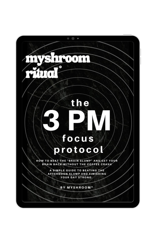 The "3 PM Focus Protocol" Ebook