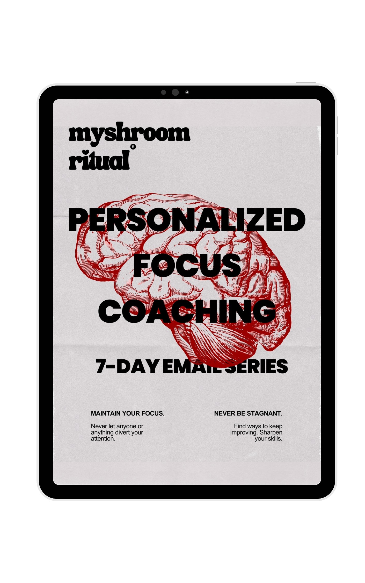 Personalized Focus Coaching (7-Day Email Series)